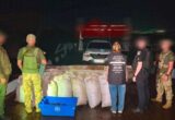 Майже 90 тисяч мідій у човні: на Одещині викрили незаконний вилов на 300 тисяч гривень