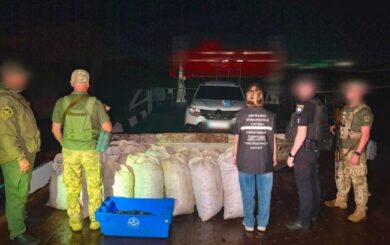 Майже 90 тисяч мідій у човні: на Одещині викрили незаконний вилов на 300 тисяч гривень
