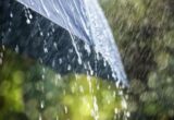 Спека до +37° і грози: де в Україні різко зміниться погода 22 серпня