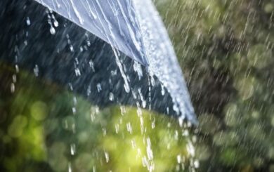 Спека до +37° і грози: де в Україні різко зміниться погода 22 серпня