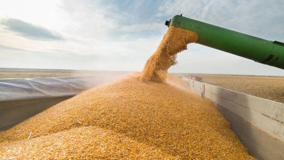 Експорт української агропродукції рухнув майже наполовину: зернові просіли на 69,5%