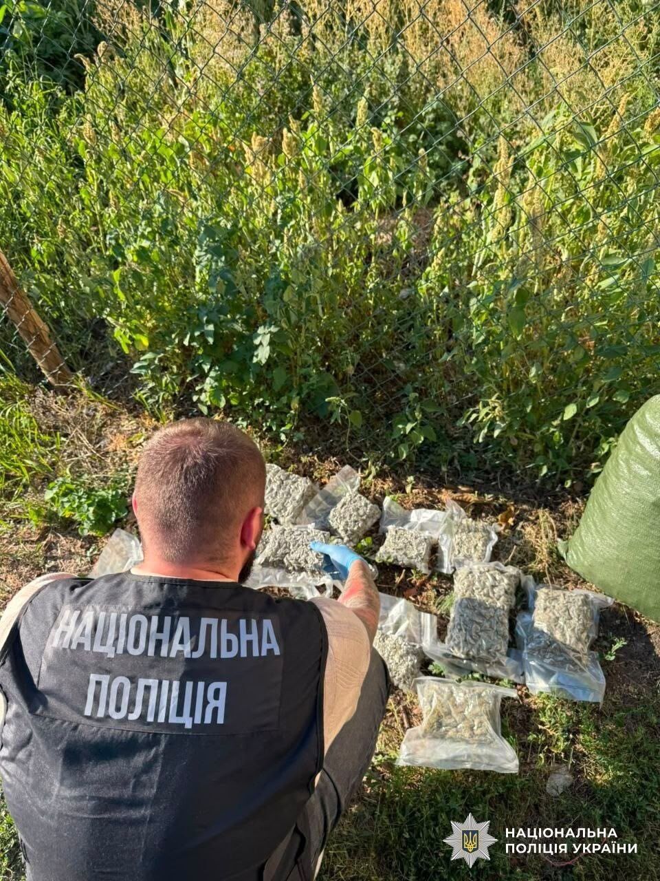 ''Рубикон'': Нацполиция завершила масштабную спецоперацию по ликвидации наркоинфраструктуры