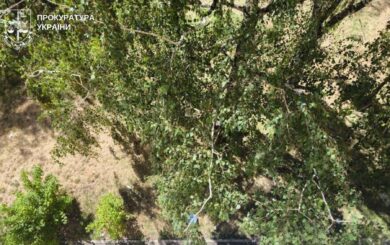 У Києві жінку підозрюють у загибелі собаки, яку викинули з четвертого поверху