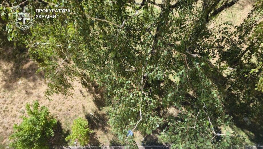 У Києві жінку підозрюють у загибелі собаки, яку викинули з четвертого поверху
