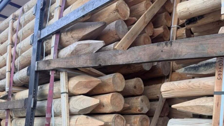 На Волині зупинили експорт деревини до Ірландії: вантаж на 250 тисяч гривень вилучили