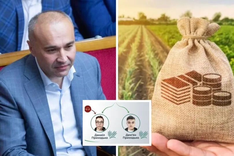 Урожай для чужих: як земля під Олбином дісталася фірмі родини нардепа Приходька