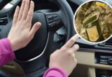 Жены участников боевых действий могут бесплатно учиться в автошколе: как воспользоваться программой