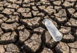 До кінця 2027 року ще 50 мільйонів людей можуть опинитися на межі голоду — прогноз ООН