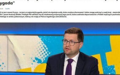Без легальної роботи — назад до України: депутат PiS виступив за депортацію чоловіків призовного віку