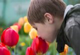 В Киевской области женщина избила 11-летнего мальчика из-за сорванного цветка: полиция расследует инцидент