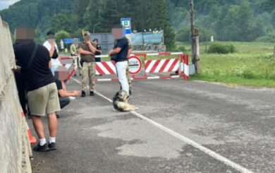 Майора Нацгвардії затримали на Львівщині: він віз трьох чоловіків до кордону зі Словаччиною
