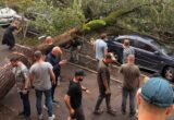 На Караваєвих Дачах впало дерево-”легенда”: пошкоджено авто