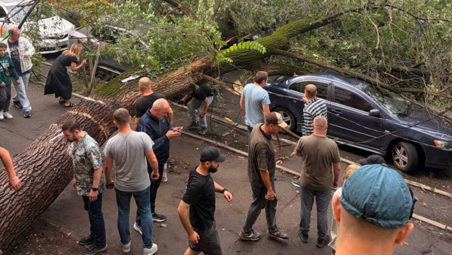 На Караваевых Дачах упало дерево-»легенда»: поврежден авто