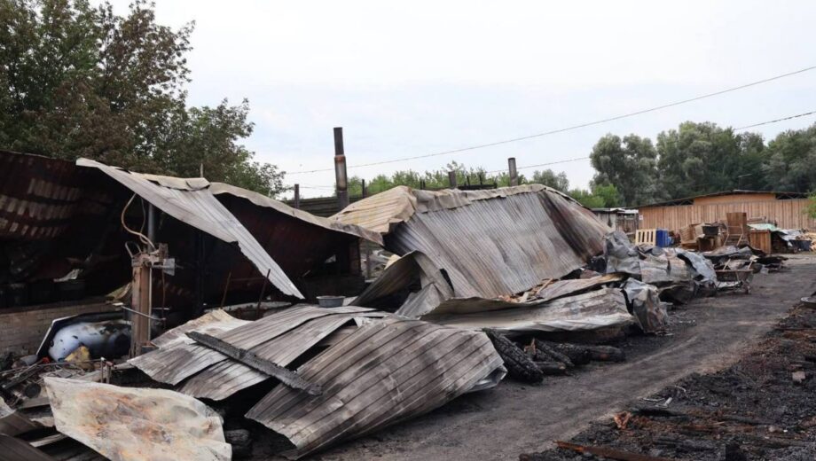 Вісім собак загинули під час пожежі у притулку на Вишгородщині