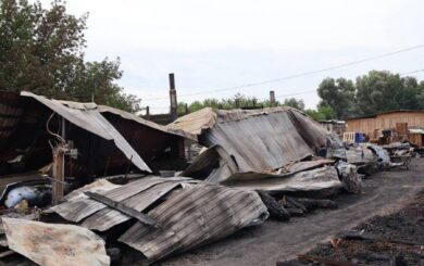 Восемь собак погибли во время пожара в приюте на Вышгородщине