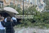 У центрі Києва велике дерево впало на терасу ресторану біля Золотих воріт