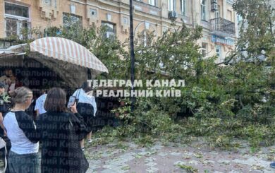 У центрі Києва велике дерево впало на терасу ресторану біля Золотих воріт