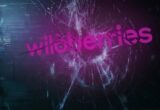 Wildberries атаковали в киберпространстве: в ГУР сообщили о проблемах с платежами