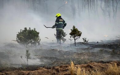 Вогонь охопив ліс на Київщині: біля Богданів пожежу гасять рятувальники та авіація