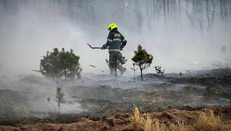 Вогонь охопив ліс на Київщині: біля Богданів пожежу гасять рятувальники та авіація