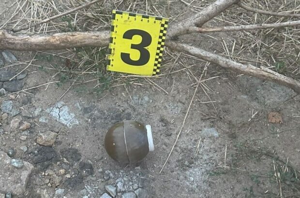 Гранаты полетели во двор соседей: в Одесской области задержали военнослужащую
