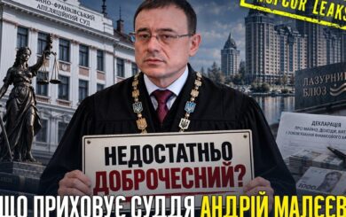 Доброчесність під питанням, нерухомість – на родичів: що відомо про суддю Андрія Малєєва