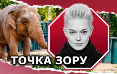 Слониха Венді в Одеському зоопарку: чому так завзято взялися за неї?