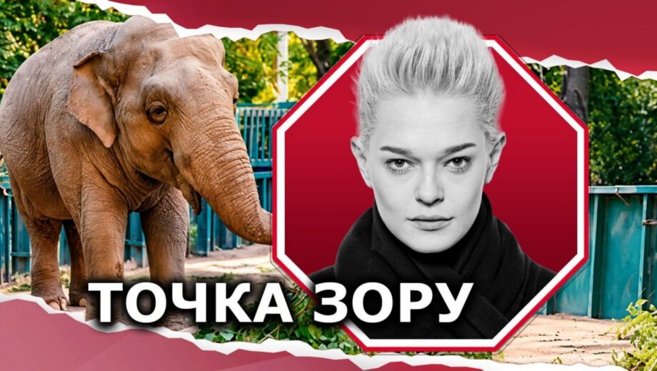 Слониха Венді в Одеському зоопарку: чому так завзято взялися за неї?