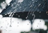 От дождей до +33 °С: какова погода в Украине 13 сентября