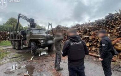 На Житомирщині викрили схему незаконної вирубки понад 8 тисяч дерев: збитки перевищили 33 млн грн