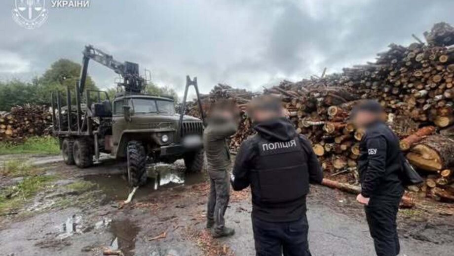 В Житомирской области разоблачили схему незаконной вырубки более 8 тысяч деревьев: убытки превысили 33 млн грн