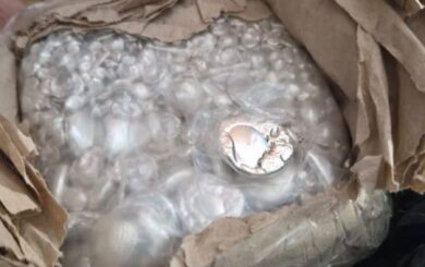 На Закарпатті в автобусі знайшли понад 6 кг срібла: вартість металу оцінили у 550 тисяч гривень