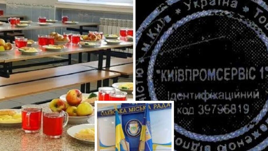Дети без обедов, тендеры на миллионы: что происходит с питанием школьников в Олевской общине?