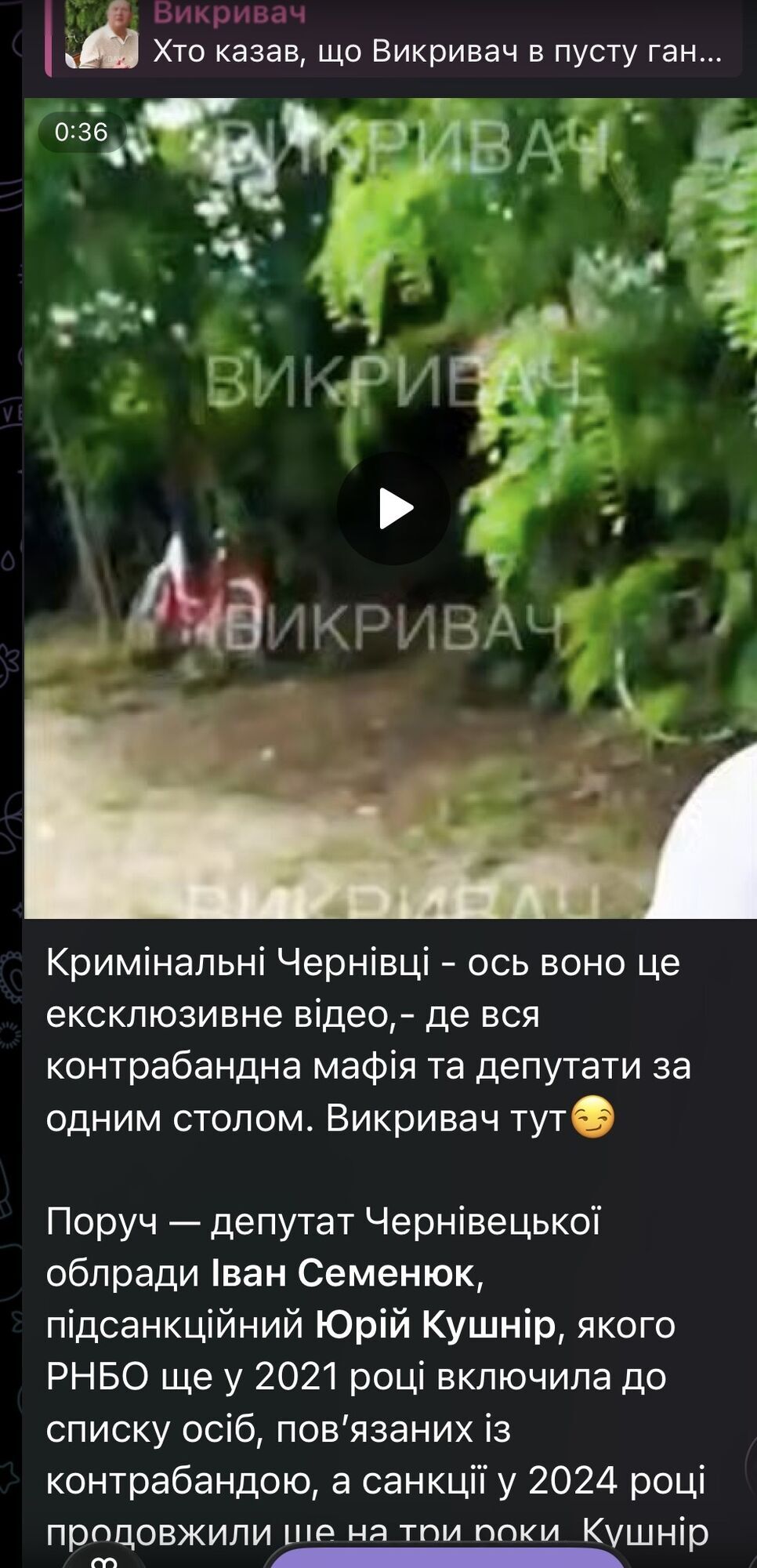 Справа на 290 млн грн, митниця і вироки ВАКС: підсанкційного Юрія Кушніра і його оточення помітили на застіллі в Боянах