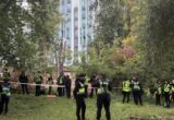 На Теремках снова рубят деревья под теплотрассу: что произошло с обещанным поиском альтернативного маршрута