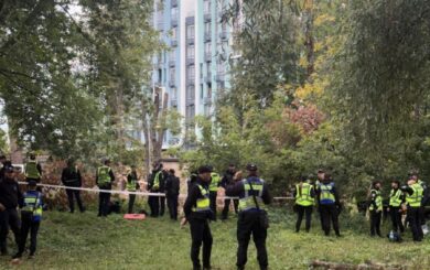 На Теремках знову рубають дерева під теплотрасу: що сталося з обіцяним пошуком альтернативного маршруту
