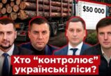 Лісовий переділ-2026: хто керує багатомільйонними фінансовими потоками галузі під час війни?