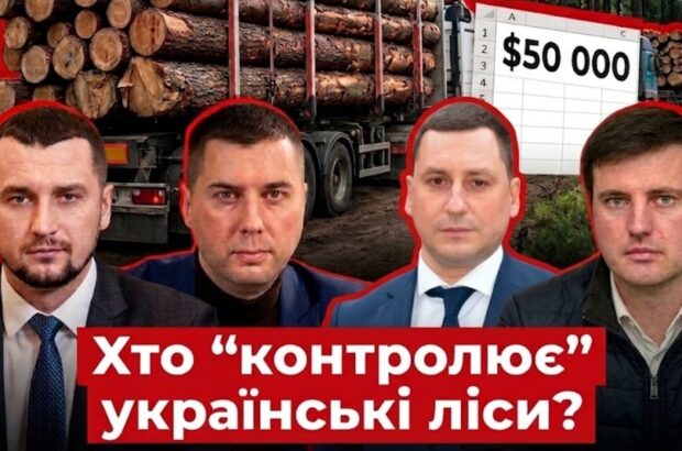 Лесной передел-2026: кто управляет многомиллионными финансовыми потоками отрасли во время войны?