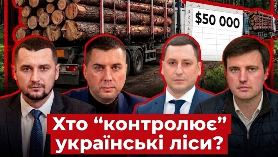 Лесной передел-2026: кто управляет многомиллионными финансовыми потоками отрасли во время войны?