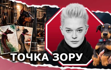 Скандал с 27 доберманами оказался… воровством?