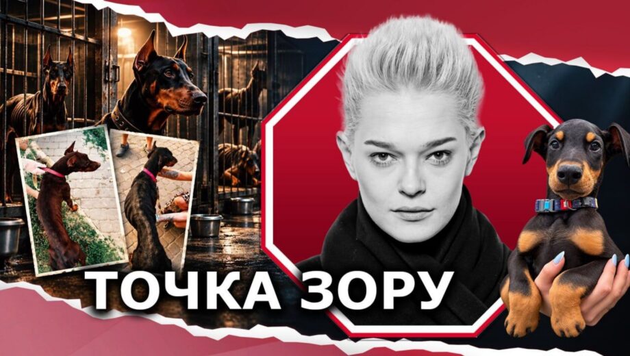 Скандал с 27 доберманами оказался… воровством?