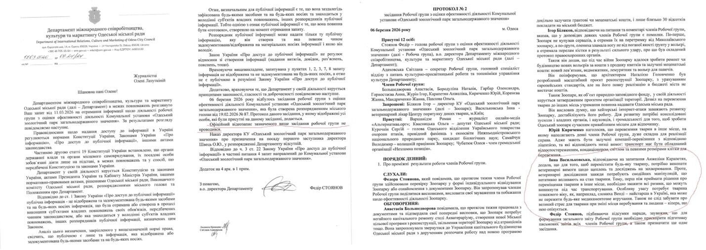 Слониха Венді в Одеському зоопарку: чому так завзято взялися за неї?  