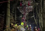 П’яний чоловік застряг у будиночку на дереві на висоті 12 метрів: його рятували 70 людей