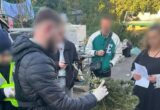 Ховав канабіс у побутових товарах: у Києві затримали чоловіка та вилучили наркотиків на 320 тисяч гривень