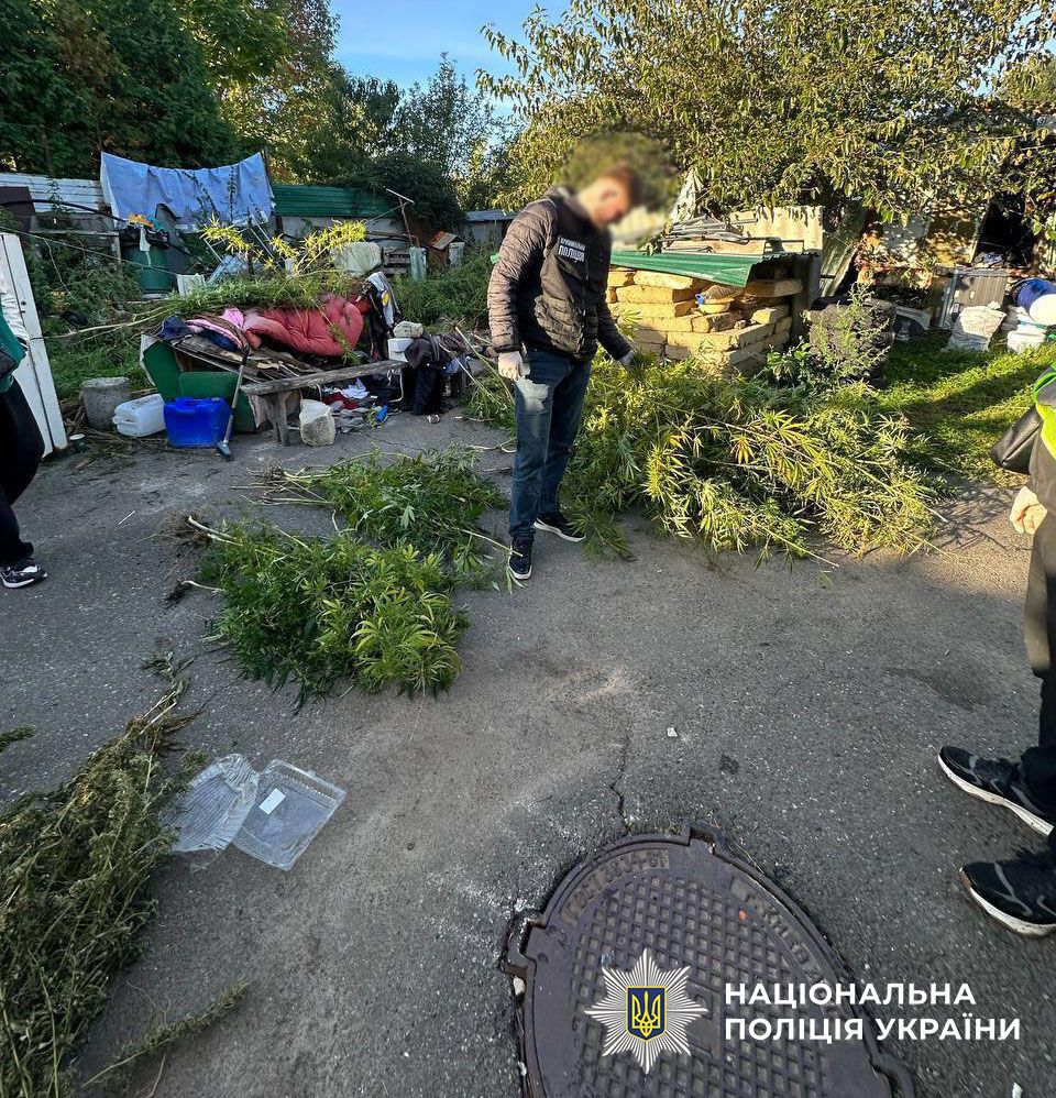 Ховав канабіс у побутових товарах: у Києві затримали чоловіка та вилучили наркотиків на 320 тисяч гривень