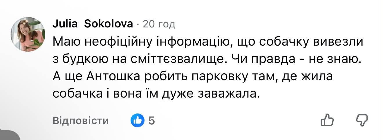 В Ровно пропала 14-летняя собака Жулька: животное пропало вместе с будкой