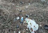 У Києві суд зобов’язав орендаря прибрати сміттєзвалище біля озера: забруднено 1500 квадратних метрів