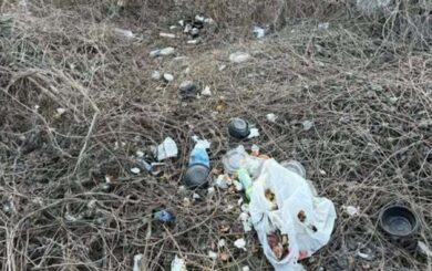 В Киеве суд обязал арендатора убрать мусорную свалку у озера: загрязнено 1500 квадратных метров
