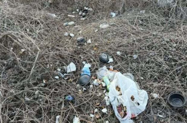 В Киеве суд обязал арендатора убрать мусорную свалку у озера: загрязнено 1500 квадратных метров