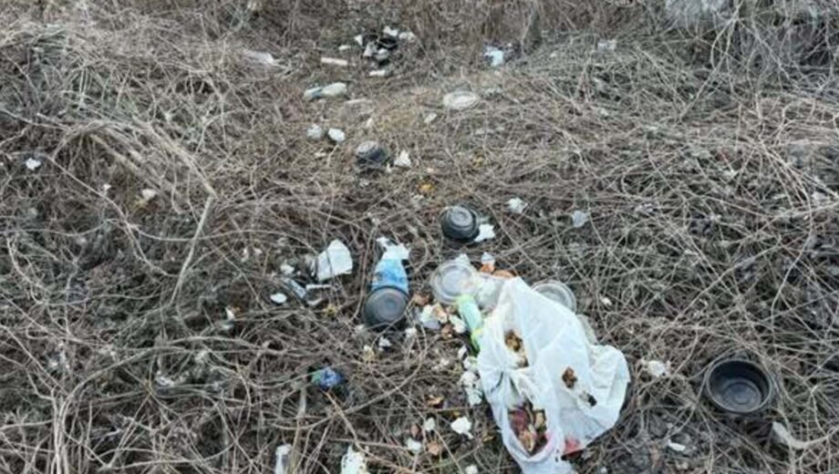 В Киеве суд обязал арендатора убрать мусорную свалку у озера: загрязнено 1500 квадратных метров